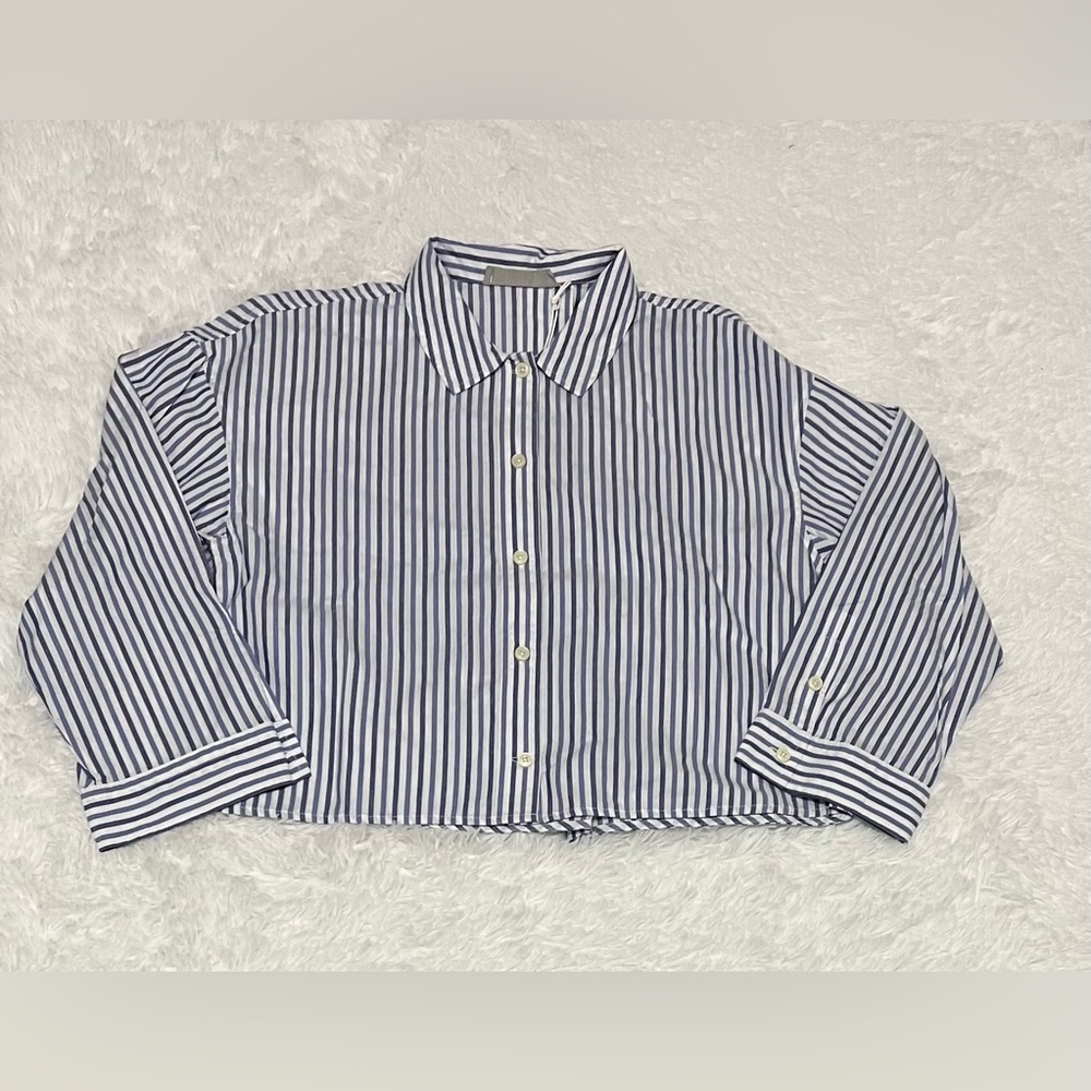 Everlane Blue and White Striped Button Down Shirt